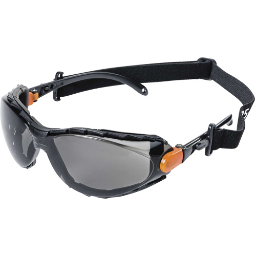 XPS502 Sealed Safety Glasses, Indoor/Outdoor Lens, Anti-Scratch Duraquip Inc