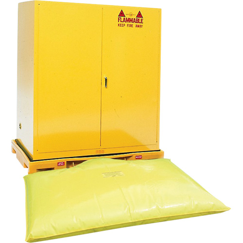 Double Drum Ultra-Safety Cabinet Bladder System, 63" lo x 38,5" la x 6,3" h, Capacit&eacute; de charge 3000 lb Duraquip Inc