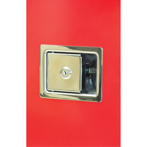 Heavy-Duty Outdoor Fire Extinguisher Cabinet, 14" W x 28" H x 10" D Duraquip Inc