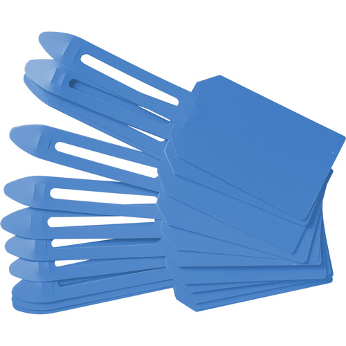 Blank Plastic Lock-On Tags, Plastic, 3-1/4" W x 5-4/5" H, Blank Duraquip Inc