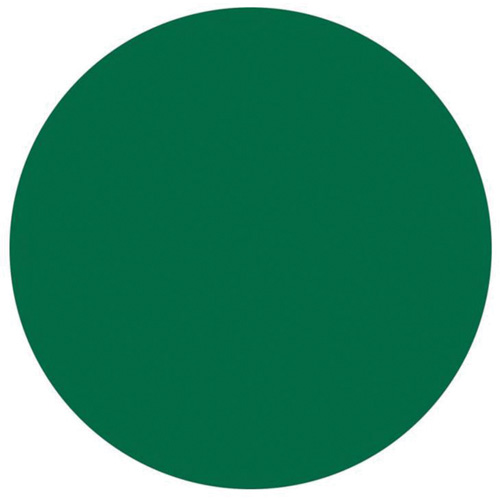 Round Write-On Labels, Circle, 3" L x 3" W, Green Duraquip Inc