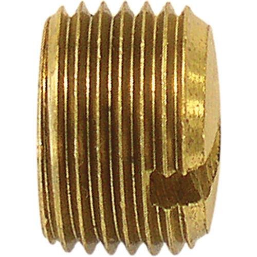 Bouchon de tuyau (avec fentes), 1/8" dia., Laiton Duraquip Inc