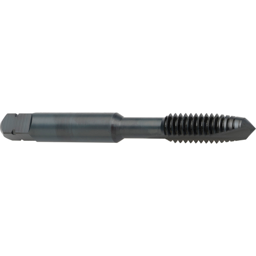 Spiral Point Tap, High Speed Cobalt, 8-32 Thread, 2-1/8" L Duraquip Inc
