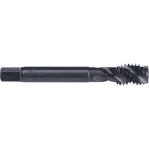 45° Spiral Flute Tap, High Speed Cobalt, 6-32 Thread, 2" L Duraquip Inc