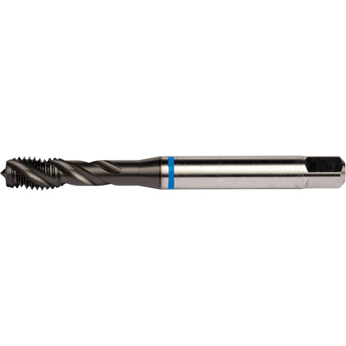 Taraud &agrave; cannelures h&eacute;licoidales Blue Shark, Acier rapide au cobalt, Filet de 1/4"-28, 3,15" l Duraquip Inc