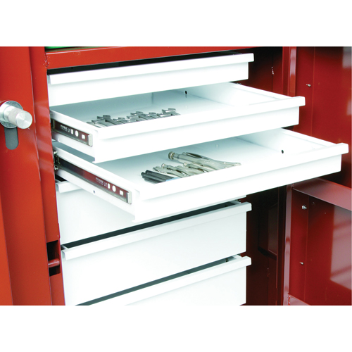 Rolling Work Bench, 49-7/8" W x 40-5/8" H x 26-7/8" D, 24.6 Cubic Feet Capacity Duraquip Inc