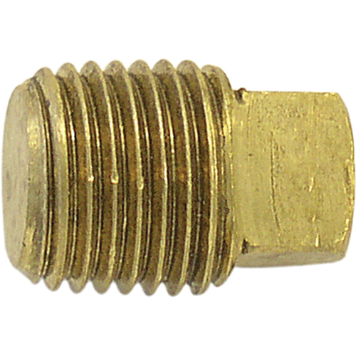 Pipe Plugs (Square Head), 1/4" Dia., Brass Duraquip Inc