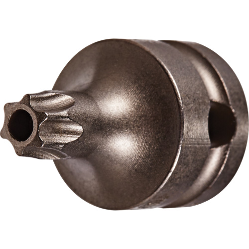 Embout &agrave; ins&eacute;rer, Torx inviolable, 25 x 1" lo, Prise 3/8" Duraquip Inc