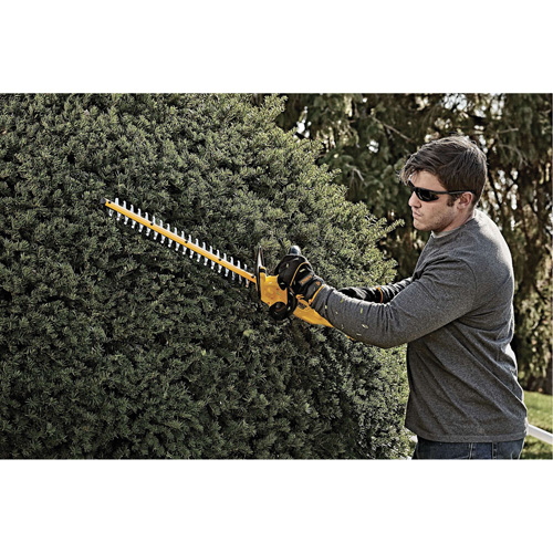 Taille-haie sans fil Max, 22", 20 V, &agrave; pile Duraquip Inc