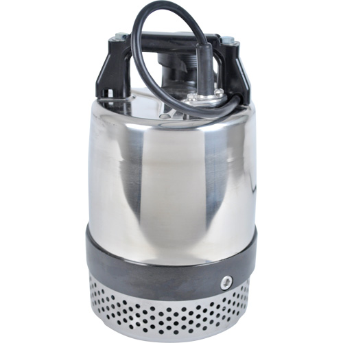 Pompe utilitaire s&eacute;rie FLS/FS, 1 CV, 80 gal./min, 115 V, 10 A Duraquip Inc