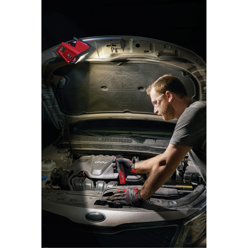 Projecteur d'illumination montable M12 ROVER, DEL, 250 W, 1000 lumens Duraquip Inc