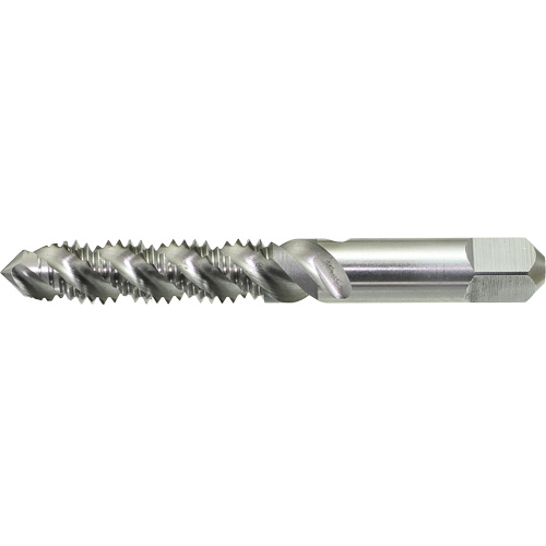 Taraud &agrave; main &agrave; cannelure spiral&eacute;e Drillco, Acier rapide, Filet 1/4"-20 Duraquip Inc