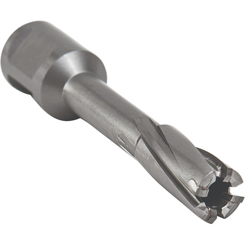 Core Cut Annular Cutter with Weldon Shank, 12 mm Diameter, Carbide, 55 mm Depth of Cut, 3/4" Shank Duraquip Inc