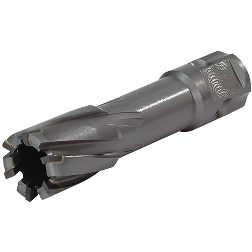 Universal Shank Annular Cutter, 24 mm Diameter, Carbide, 55 mm Depth of Cut, 3/4" Shank Duraquip Inc