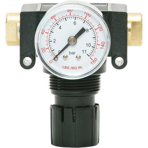 MODULAIR 200 Acetal Piston Regulator, 1/4" NPT, 150 PSI Max. PSI, In Line/Modular Duraquip Inc