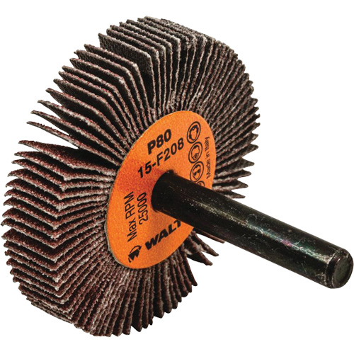 Disques &agrave; lamelles - Meules &agrave; lamelles Coolcut, Oxyde d'aluminium, Grain 80, 2" x 3/8" x 1/4" Duraquip Inc