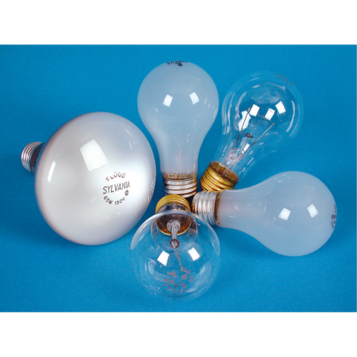 LAMPE INCANDESCENTE,25W,130V,GIVREE,2/PQT Duraquip Inc