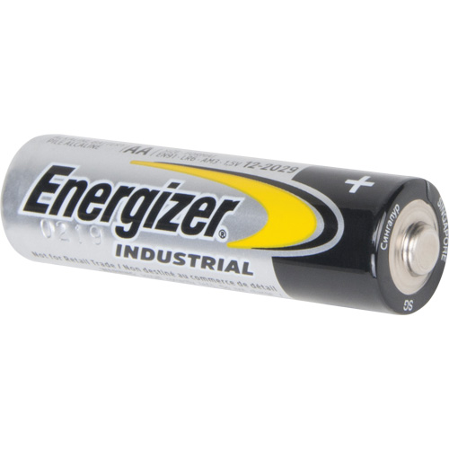 Alkaline Industrial Batteries, AA, 1.5 V Duraquip Inc