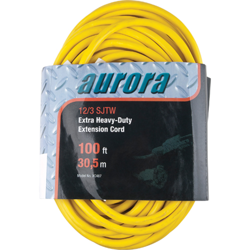 Cordon rallonge en vinyle, Ext&eacute;rieur, SJTW, AWG 12/3, 15 A, 100' Duraquip Inc