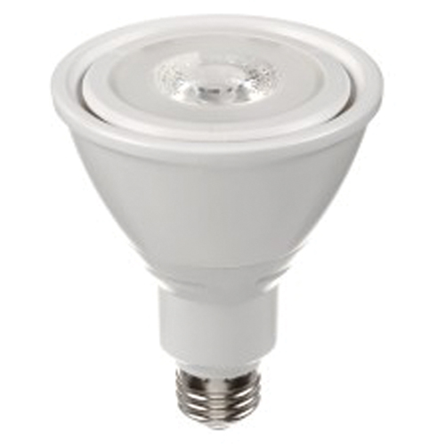 Ampoule DEL, PAR30, 10 W, 800 lumens, base Moyen Duraquip Inc