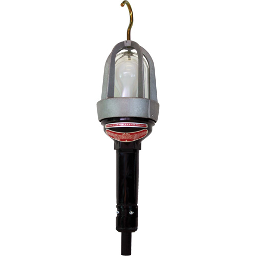 Baladeuses pour emplacements dangereux Duraquip Inc