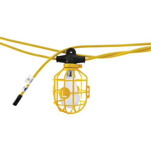 LED Bulb Stringlights, 10 Lights, 1200" L, Plastic Housing Duraquip Inc