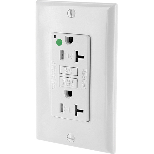 SmartlockPro&reg; Extra Heavy-Duty Self-Test GFCI Receptacle Duraquip Inc
