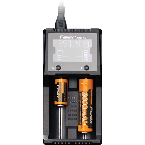 Chargeur de batterie &agrave; deux canaux ARE-A2 Duraquip Inc