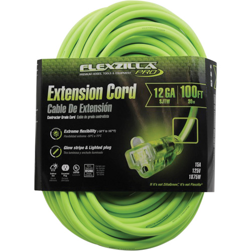 Cordon rallonge industriel Flexzilla Pro, Toutes saisons, SJTW, AWG 12/3, 15 A, 100' Duraquip Inc