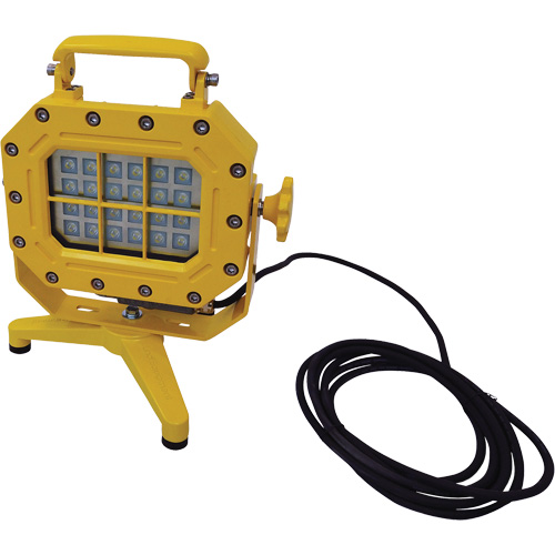 Explosion Proof Floodlight with Stand, LED, 40 W, 5600 Lumens, Aluminum Housing Duraquip Inc