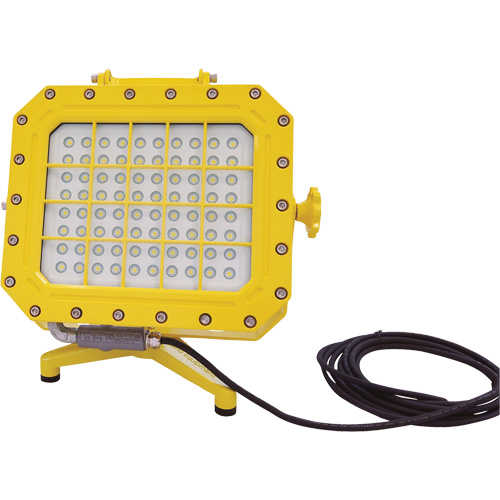 Explosion Proof Floodlight with Floor Stand, LED, 40 W, 5600 Lumens, Aluminum Housing Duraquip Inc