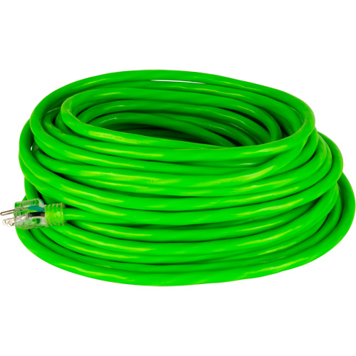 Industrial Extension Cord, All-Weather, SJTW, 10/3 AWG, 15 A, 100' Duraquip Inc
