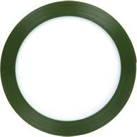 Polyester Tape, Polyester, 25.4 mm (1") W x 66 m (216') L, 1.9 mils Thick Duraquip Inc