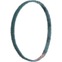 Courroies de traitement des surfaces Scotch-Brite Duraquip Inc