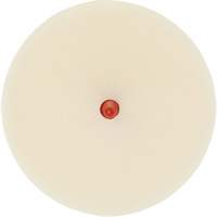Disque pour enlever les bandes et les adh&eacute;sifs pour moulures Scotch-Brite, 4" dia. Duraquip Inc