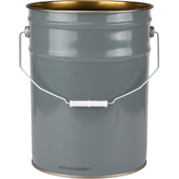Lined Pail, Steel, 20 L Duraquip Inc