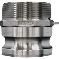 Accouplement &agrave; came et rainure, Acier inoxydable, Type F, 3/4", NPT m&acirc;le, 250 PSI Duraquip Inc