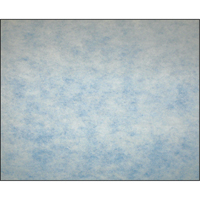 Filtres en m&eacute;dias synth&eacute;tiques &agrave; arrestance &eacute;lev&eacute;e, Tampon, MERV 5, 24" la x 2" p x 12" h Duraquip Inc