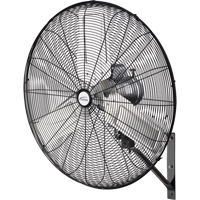 Oscillating Wall Fan, Industrial, 2 Speed, 30" Diameter Duraquip Inc