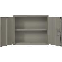 Wall Mounted Cabinet, Steel, 2 Shelves, 30" H x 36" W x 12" D, Grey Duraquip Inc