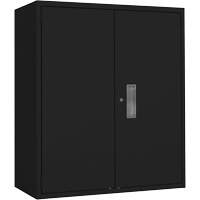 Lo-Boy Storage Cabinet, Steel, 2 Shelves, 42" H x 36" W x 18" D, Black Duraquip Inc