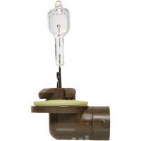 886 Basic Fog Light Bulb, Halogen, 50 W, Off White Duraquip Inc
