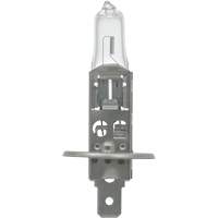 64155 Basic Automotive Bulb, Halogen, 78 W, Off White Duraquip Inc