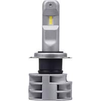 Ampoule pour feu avant H7, DEL, 13,2 W/17 W, Blanc Duraquip Inc