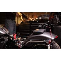 Genius&reg; 10 10-Amp Battery Charger Duraquip Inc