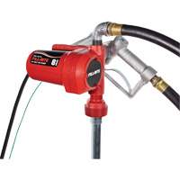 12V DC Fuel Transfer Pump with Nozzle Duraquip Inc