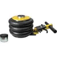 V&eacute;rin &agrave; coussin gonflable triphas&eacute; s&eacute;rie Pro, 2 tonne(s), 22" Hauteur &eacute;lev&eacute;e Duraquip Inc