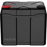 Group U1 40Ah Lithium Dual-Purpose Battery Duraquip Inc