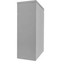 Armoire de rangement &agrave; hauteur de comptoir, Acier, 2 Tablettes, 42" h x 36" la x 24" P, Gris Duraquip Inc