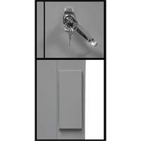 Armoire de rangement &agrave; hauteur de comptoir, Acier, 2 Tablettes, 42" h x 36" la x 24" P, Gris Duraquip Inc